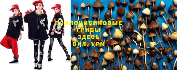 винт Белоозёрский