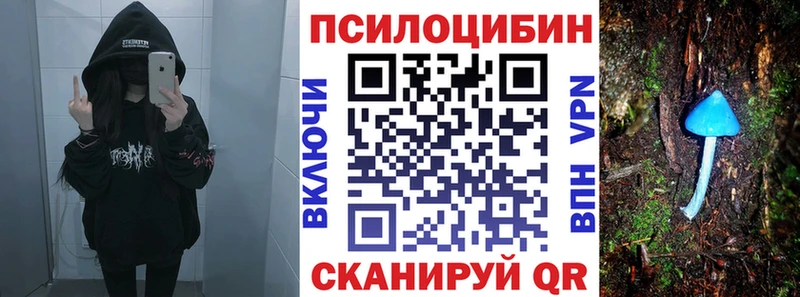 Купить  Краснокаменск  Псилоцибиновые грибы GOLDEN TEACHER 